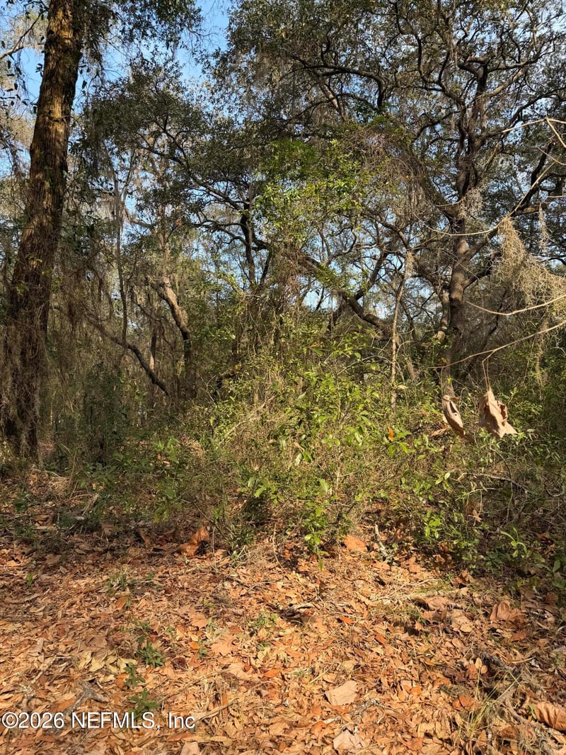 102 David Dr, Interlachen, FL 32148