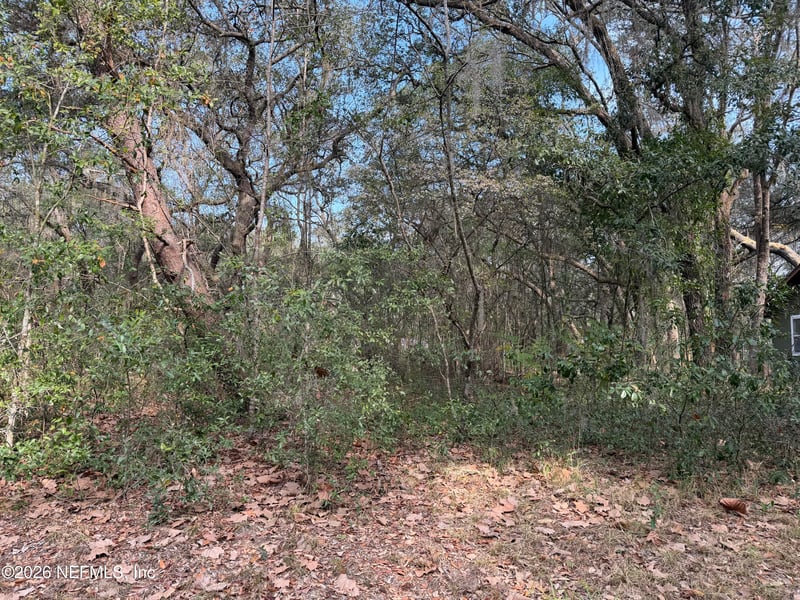 102 David Dr, Interlachen, FL 32148