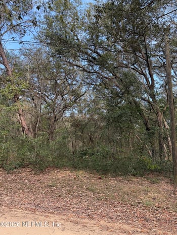 102 David Dr, Interlachen, FL 32148