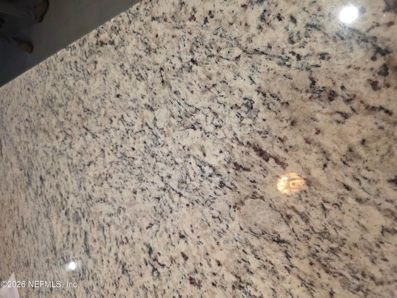 2246 Palisade Point, Middleburg, FL 32068