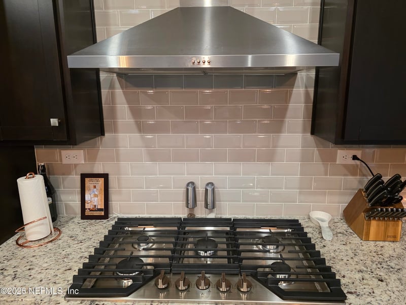 2246 Palisade Point, Middleburg, FL 32068