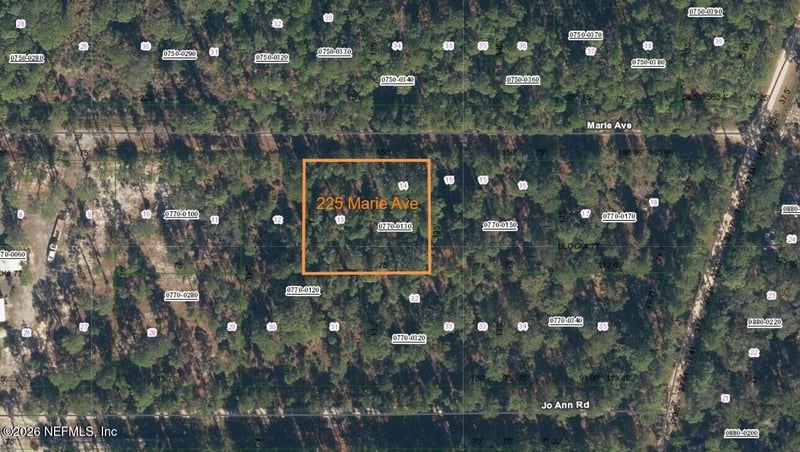 225 Marie Ave, Georgetown, FL 32139
