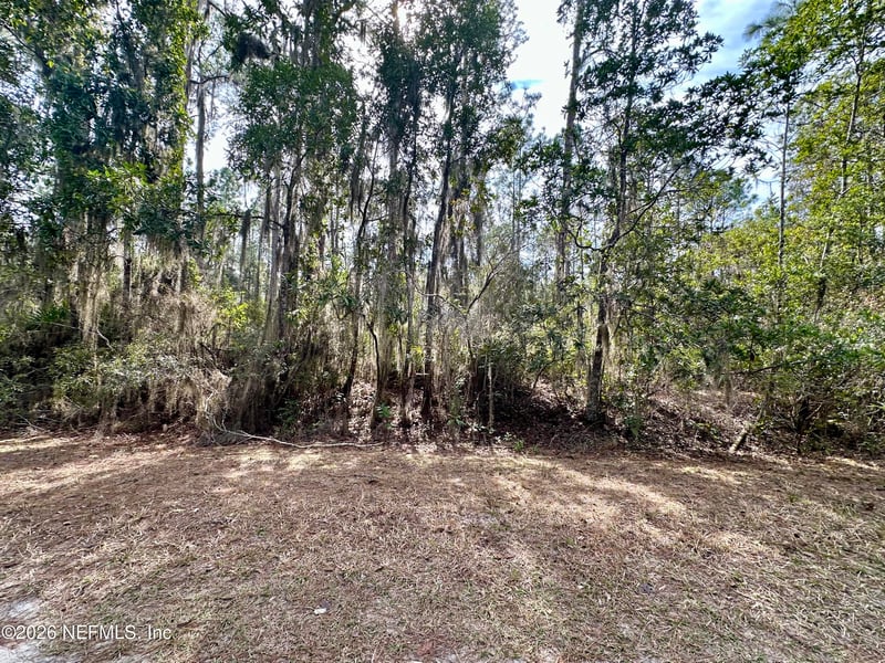 225 Marie Ave, Georgetown, FL 32139