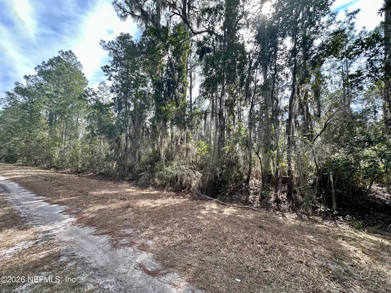225 Marie Ave, Georgetown, FL 32139