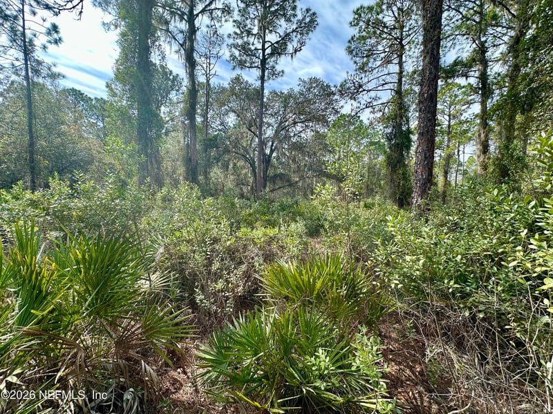 229 Marie Ave, Georgetown, FL 32139