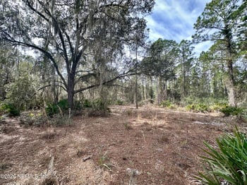 229 Marie Ave, Georgetown, FL 32139