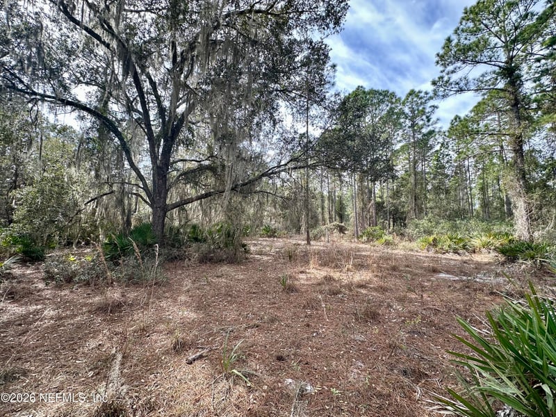 229 Marie Ave, Georgetown, FL 32139