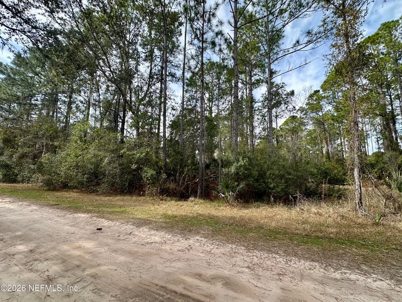 233 Marie Ave, Georgetown, FL 32139