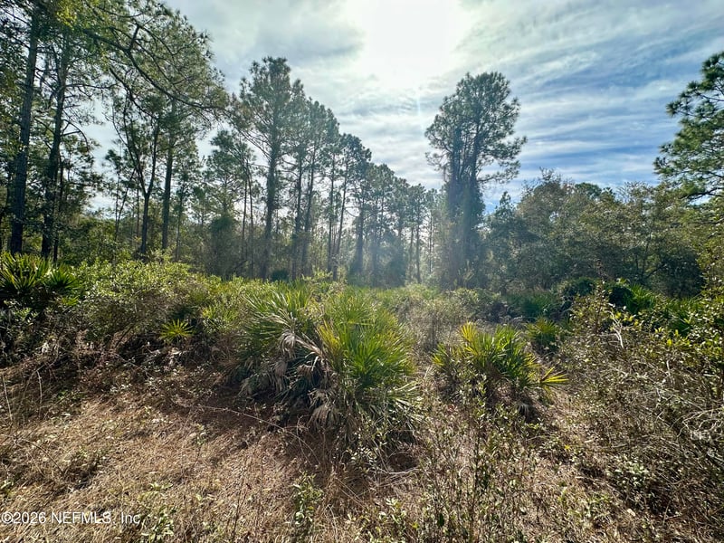 233 Marie Ave, Georgetown, FL 32139