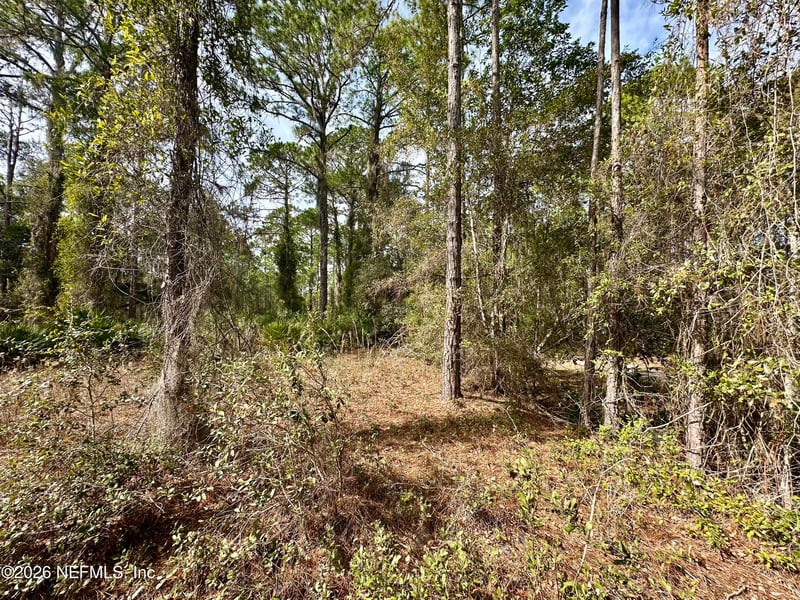 233 Marie Ave, Georgetown, FL 32139