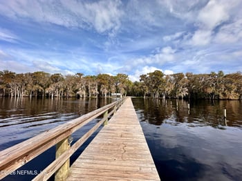 233 Marie Ave, Georgetown, FL 32139