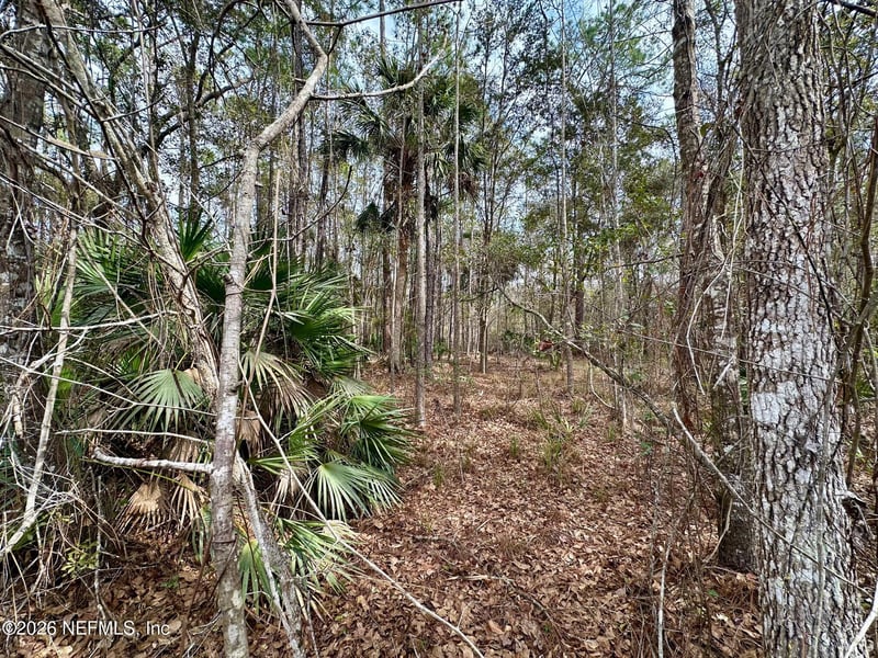 304 Lakeshore Dr, Georgetown, FL 32139