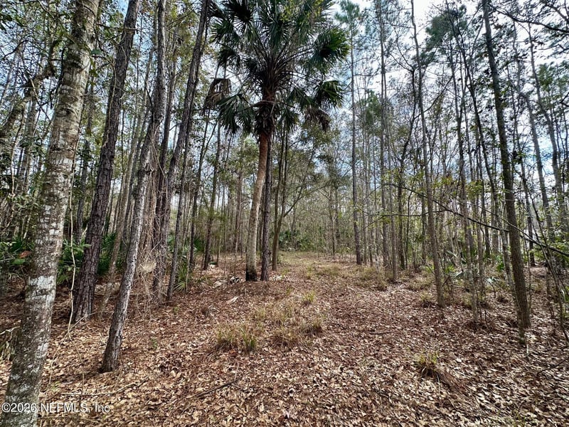 304 Lakeshore Dr, Georgetown, FL 32139