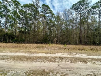 304 Lakeshore Dr, Georgetown, FL 32139