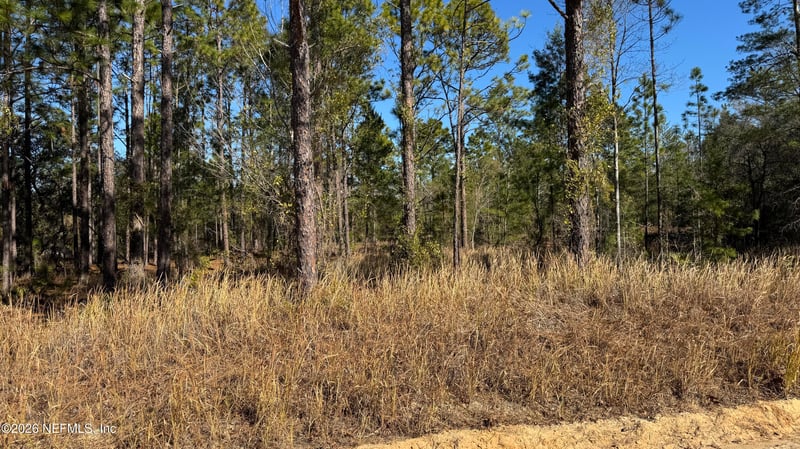 0 Poinciana Dr, Interlachen, FL 32148