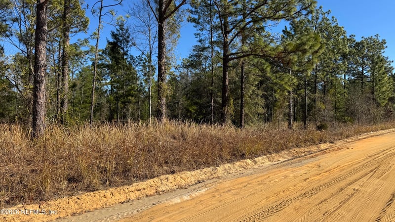 0 Poinciana Dr, Interlachen, FL 32148