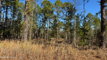 Poinciana Dr, Interlachen, FL 32148