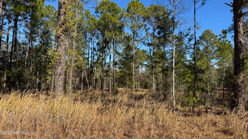 0 Poinciana Dr, Interlachen, FL 32148