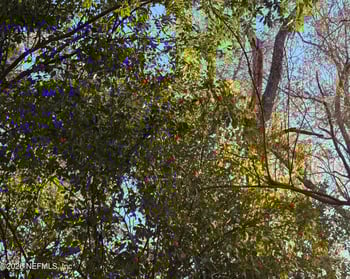 3015 13th Dr, Gainesville, FL 32609