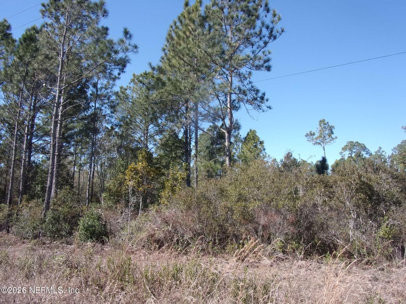 1658 State Rd 19, Palatka, FL 32177