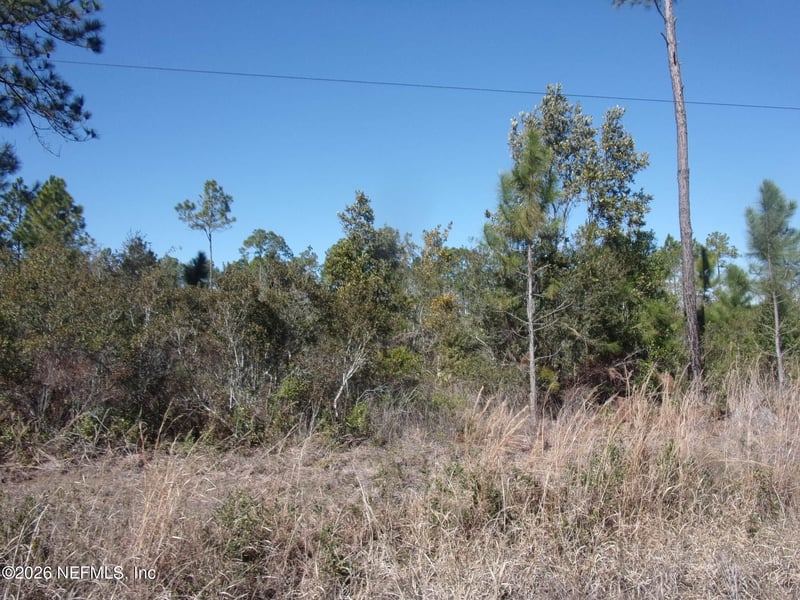 1658 State Rd 19, Palatka, FL 32177