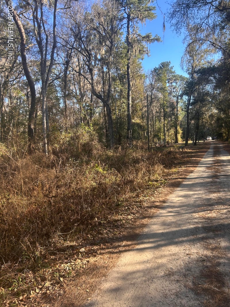 258 Lake Dr, Florahome, FL 32140