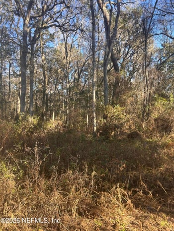 258 Lake Dr, Florahome, FL 32140