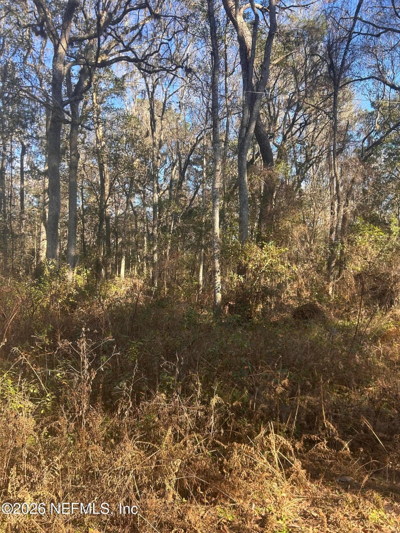 258 Lake Dr, Florahome, FL 32140