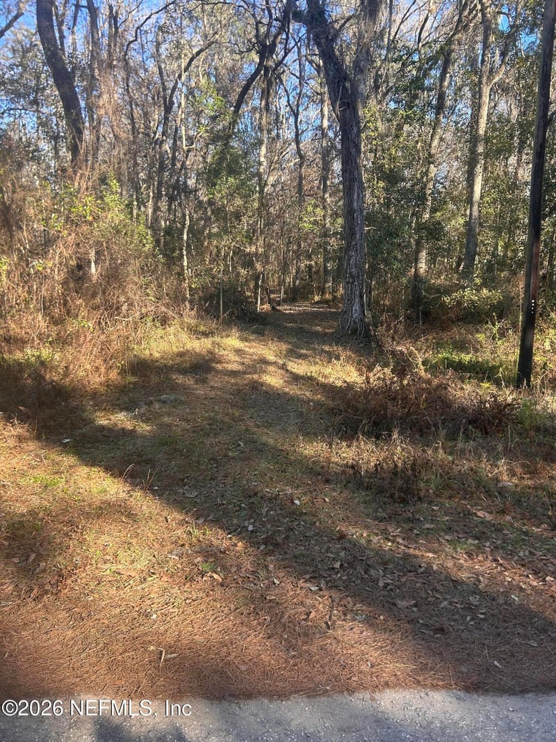 258 Lake Dr, Florahome, FL 32140