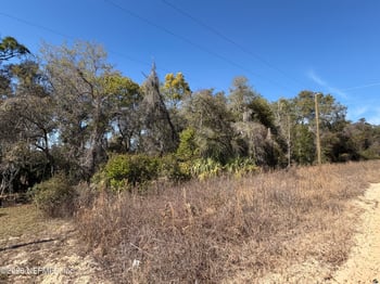 Cherry Ave, Hawthorne, FL 32640