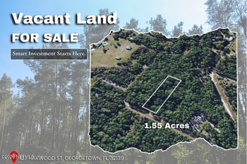 127 Harwood St, Georgetown, FL 32139