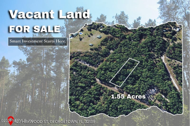 127 Harwood St, Georgetown, FL 32139