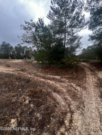 226 Ridge Rd, Satsuma, FL 32189