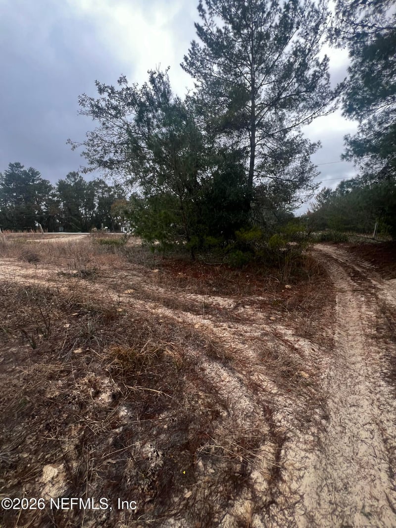 226 Ridge Rd, Satsuma, FL 32189