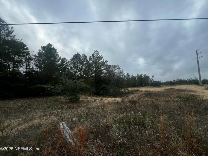 226 Ridge Rd, Satsuma, FL 32189