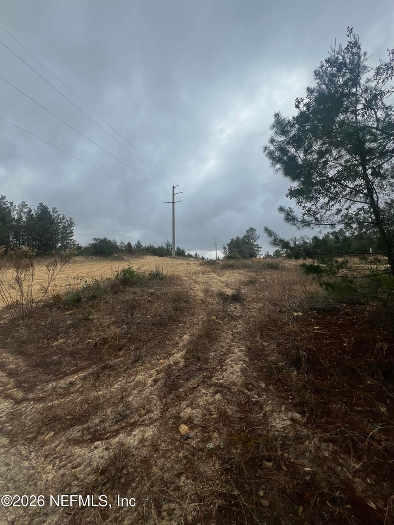 226 Ridge Rd, Satsuma, FL 32189