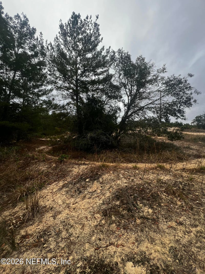 226 Ridge Rd, Satsuma, FL 32189