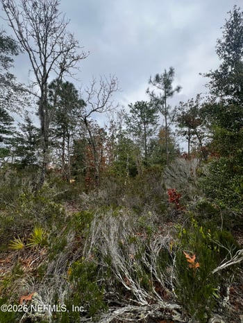 307 Lemon St, Interlachen, FL 32148