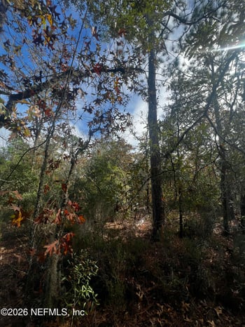 307 Lemon St, Interlachen, FL 32148