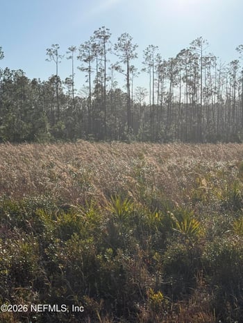 Conner Nelson Rd, Hilliard, FL 32046