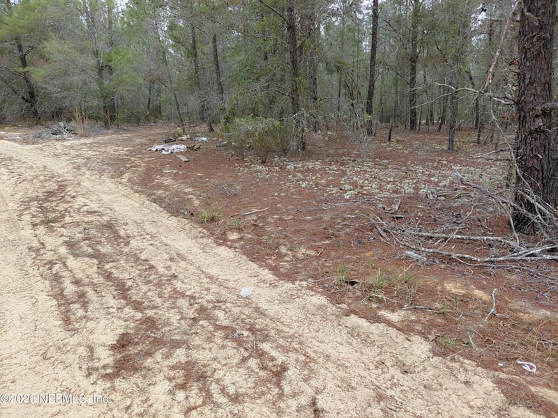 0 Oak Ter, Interlachen, FL 32148