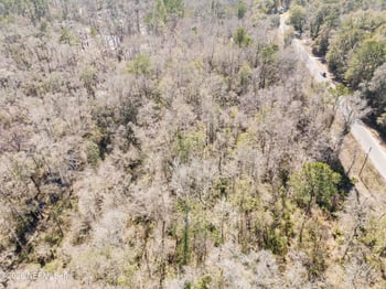 5309 Chicory Cir, Middleburg, FL 32068