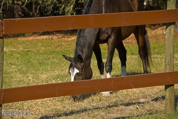 3760 Old Jennings Rd #B, Middleburg, FL 32068