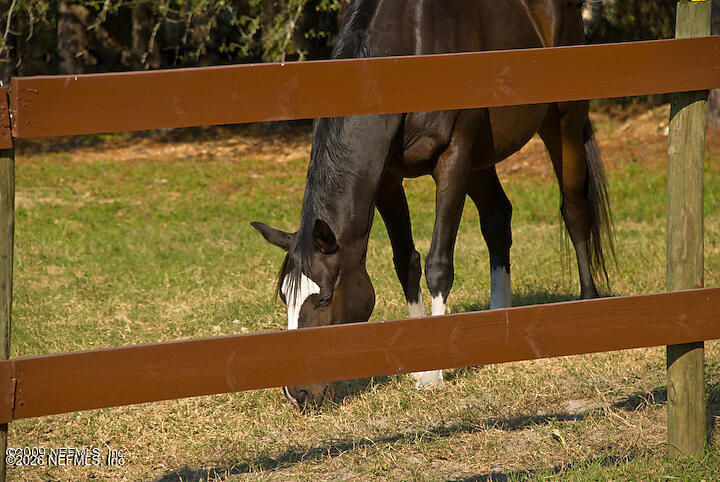 3760 Old Jennings Rd #B, Middleburg, FL 32068