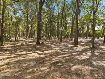 Quinlan Rd, Jacksonville, FL 32225