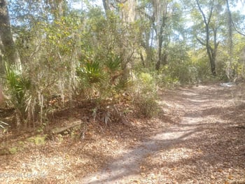 5812 Bryce St, Keystone Heights, FL 32656