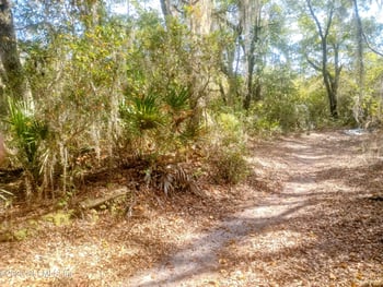 5810 Bryce St, Keystone Heights, FL 32656