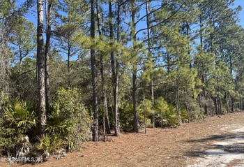 519 Carteret Rd, Georgetown, FL 32139