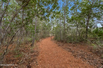 52 Ancient Springs Ln, St Augustine, FL 32092