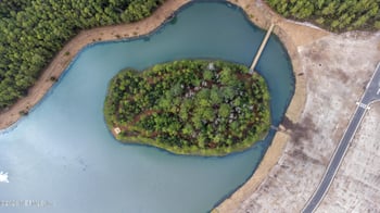 83 Ancient Springs Ln, St Augustine, FL 32092